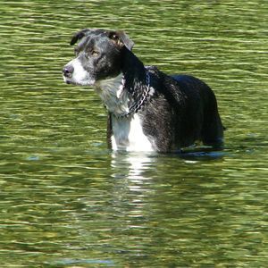 Meet your Posher, Molly